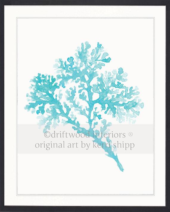 Seagrass in Turquoise