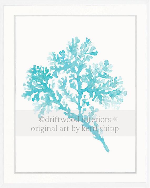 Seagrass in Turquoise