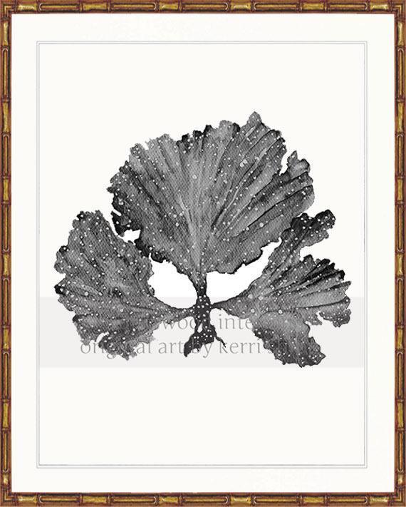 Seaweed II in Charcoal - Driftwood Interiors