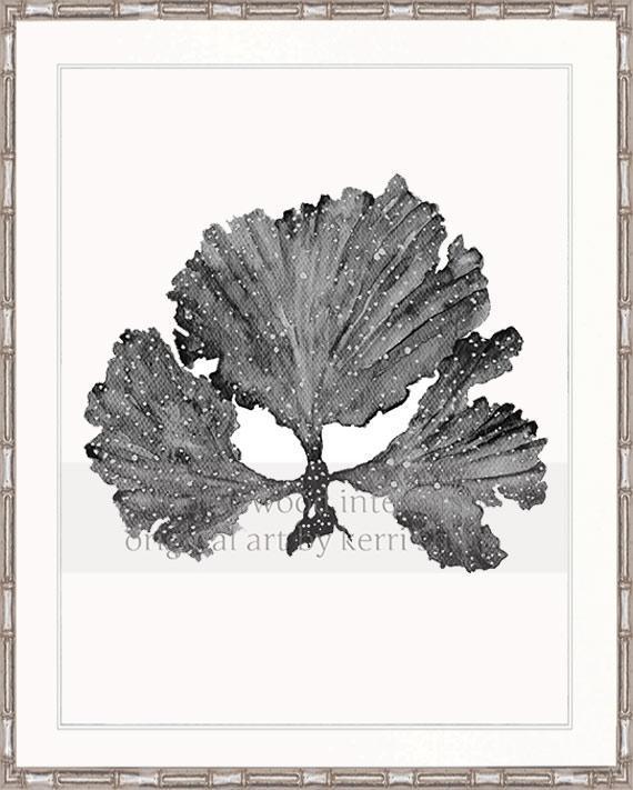 Seaweed II in Charcoal - Driftwood Interiors