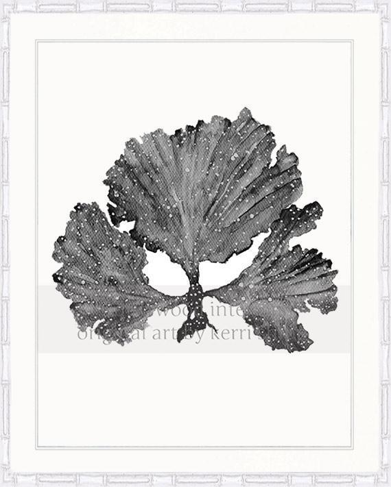 Seaweed II in Charcoal - Driftwood Interiors