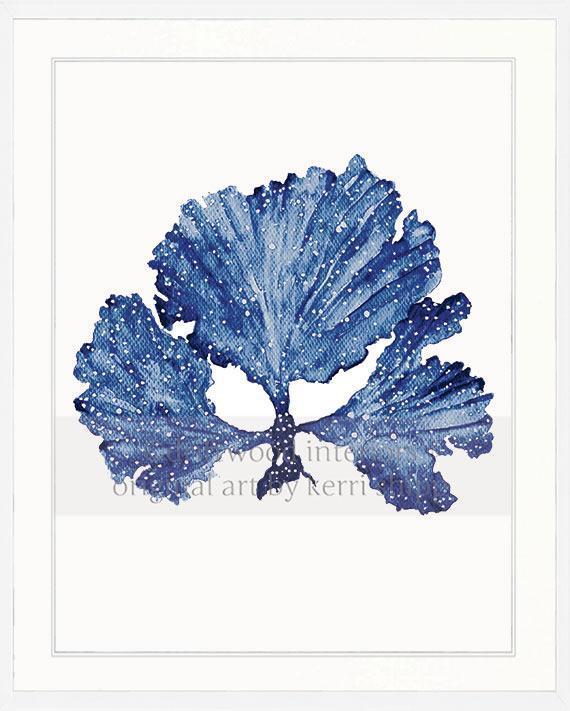 Seaweed II in Denim - Driftwood Interiors