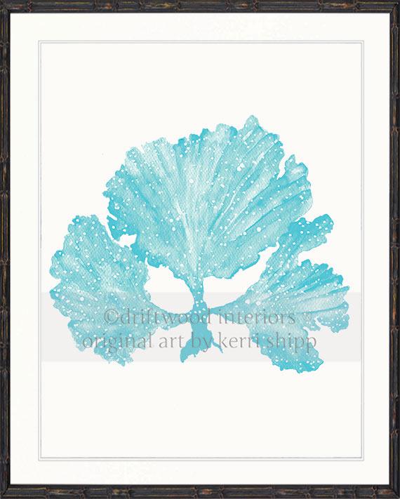 Seaweed II in Turquoise