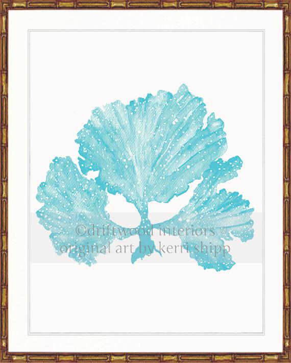 Seaweed II in Turquoise