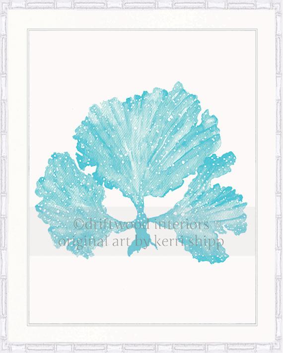 Seaweed II in Turquoise