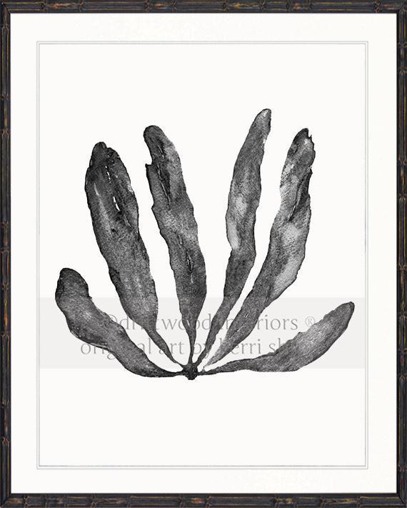 Wall Art Australia - Seaweed III Art Print in Charcoal in black bamboo frame - Driftwood Interiors