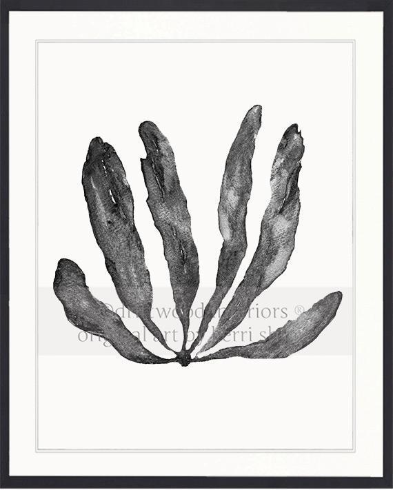 Wall Art Australia - Seaweed III Art Print in Charcoal in black timber frame - Driftwood Interiors