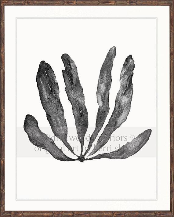 Wall Art Australia - Seaweed III Art Print in Charcoal in brown bamboo frame - Driftwood Interiors