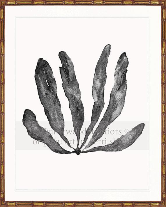 Wall Art Australia - Seaweed III Art Print in Charcoal in gold bamboo frame - Driftwood Interiors