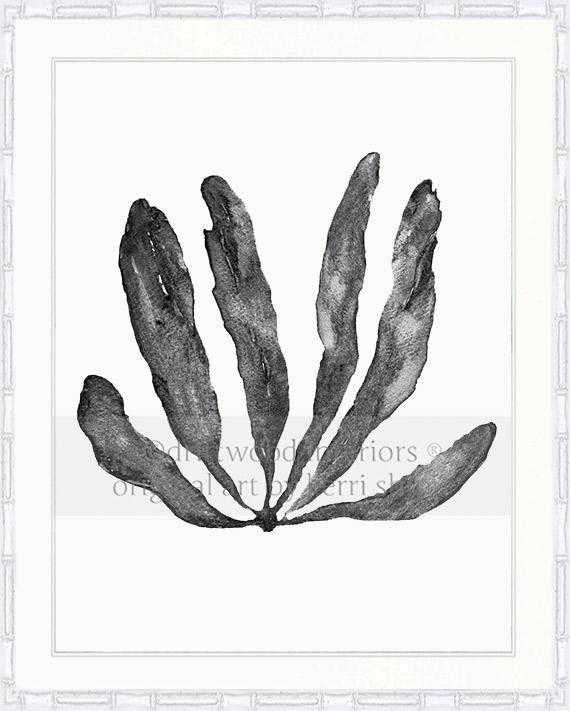 Wall Art Australia - Seaweed III Art Print in Charcoal in white bamboo frame - Driftwood Interiors