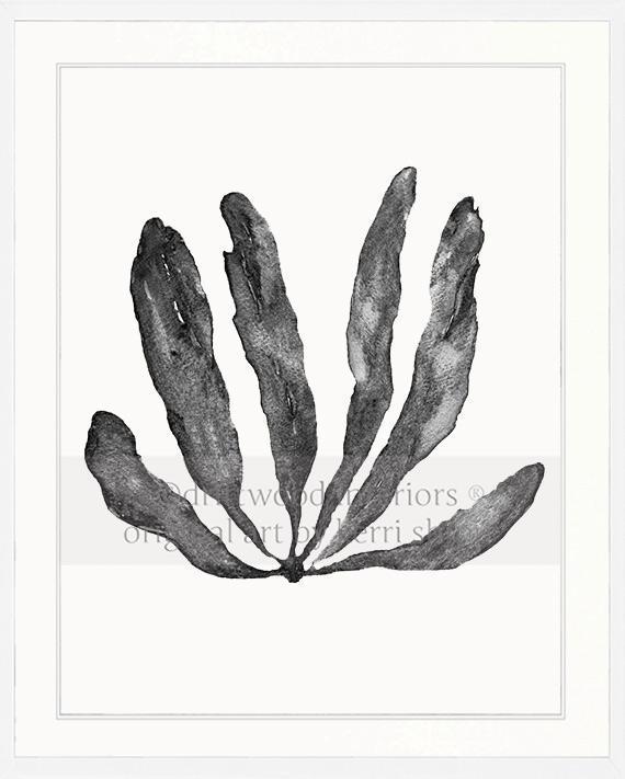Wall Art Australia - Seaweed III Art Print in Charcoal in white timber frame - Driftwood Interiors