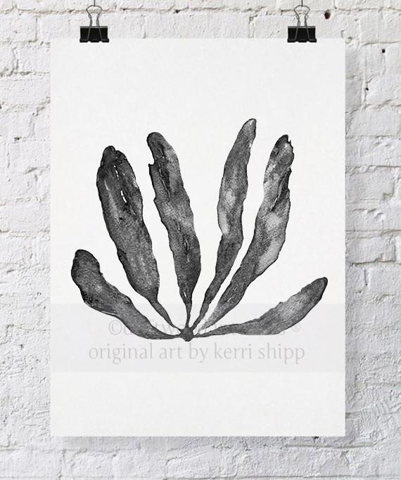 Wall Art Australia - Seaweed III Wall Art Print in Charcoal by Kerri Shipp Driftwood Interiors