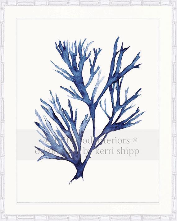 Seaweed V in Denim - Driftwood Interiors