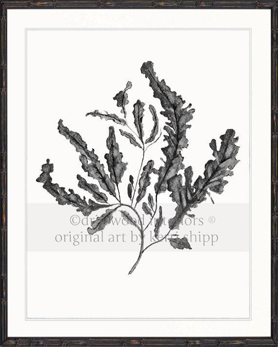 Seaweed in Charcoal - Driftwood Interiors
