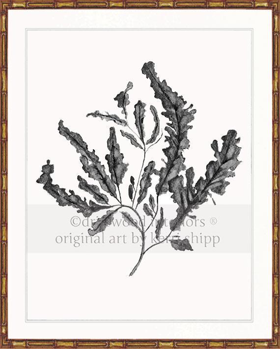 Seaweed in Charcoal - Driftwood Interiors