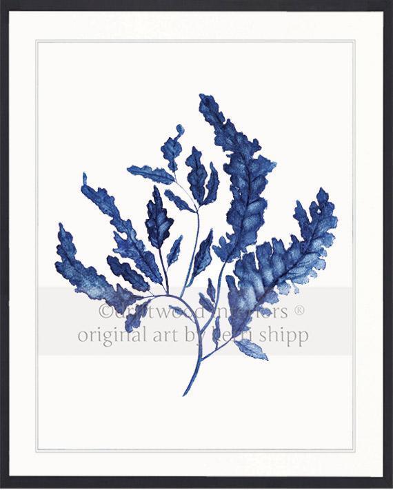 Seaweed in Denim - Driftwood Interiors