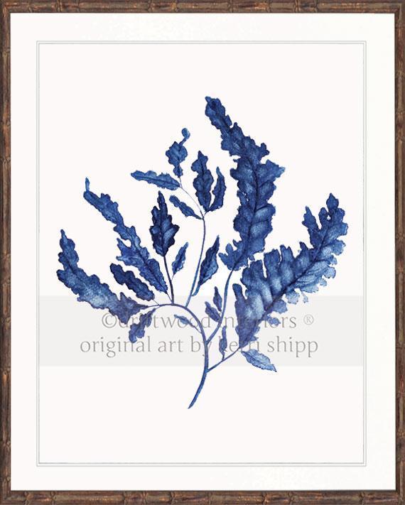 Seaweed in Denim - Driftwood Interiors