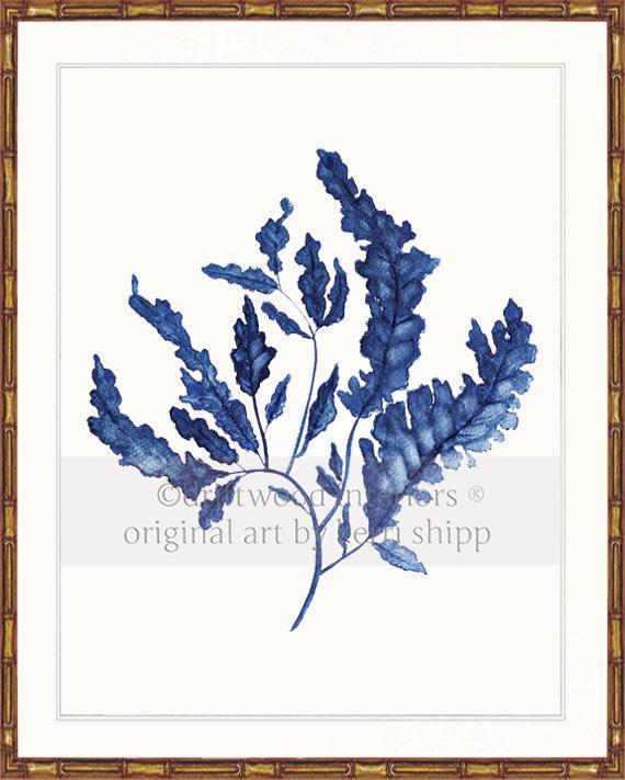 Seaweed in Denim - Driftwood Interiors