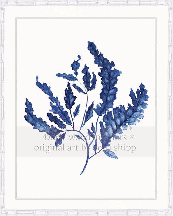 Seaweed in Denim - Driftwood Interiors