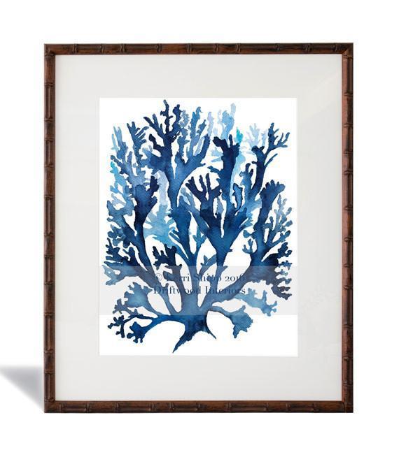 Wall Art Australia - Seaweed II in Indigo Blue framed wall art print - Driftwood Interiors