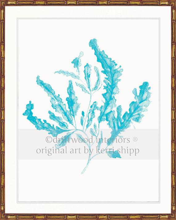 Seaweed in Turquoise