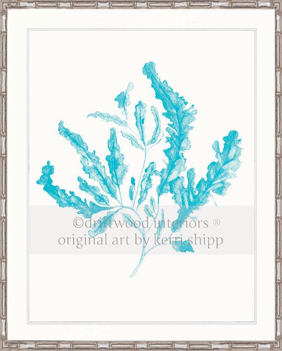 Seaweed in Turquoise