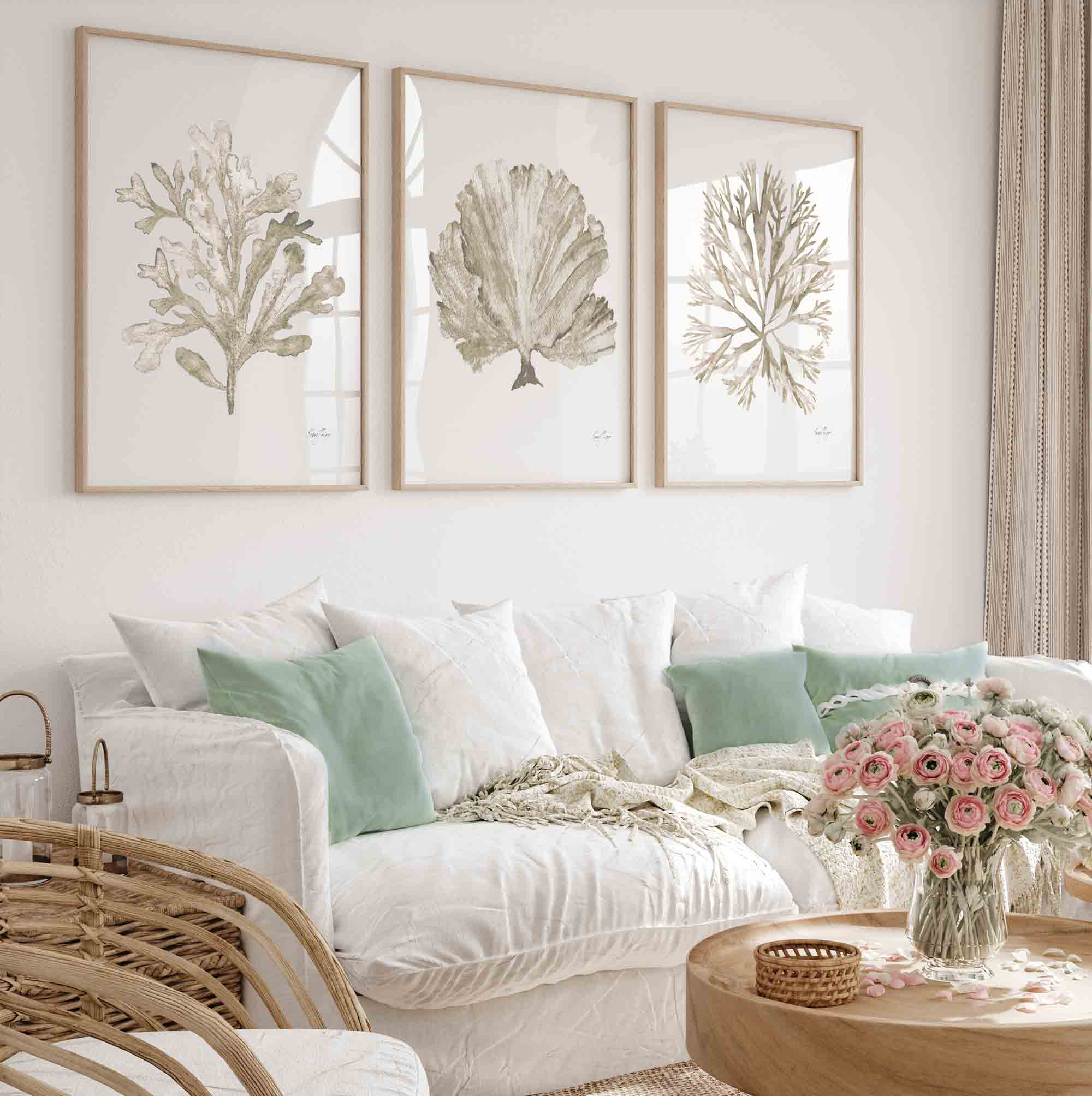 Beige Neutral Coral Seaweed Set of 3 Wall Art Prints in Living Room - Driftwood Interiors