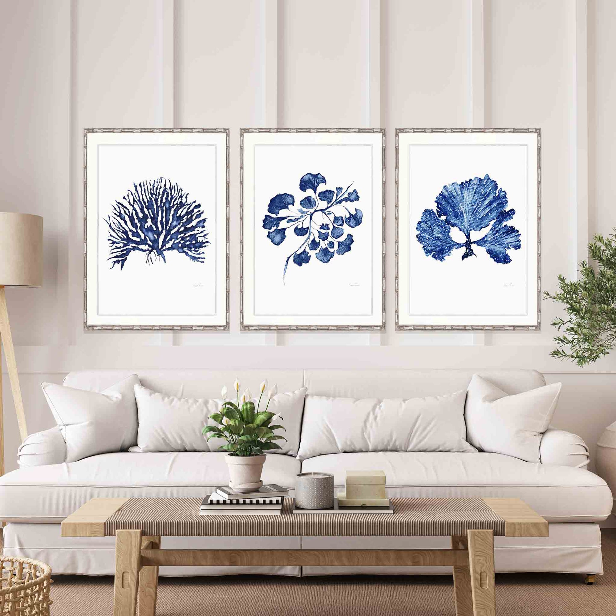 Set of 3 Blue Coral Wall Art Prints - Denim Coral Set II - Driftwood Interiors