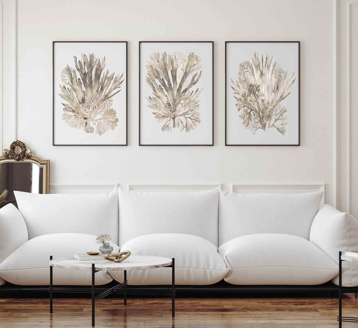 Set of 3 Wall Art Prints - Set of 3 Taupe Coral Prints by Kerri Shipp Driftwood Interiors