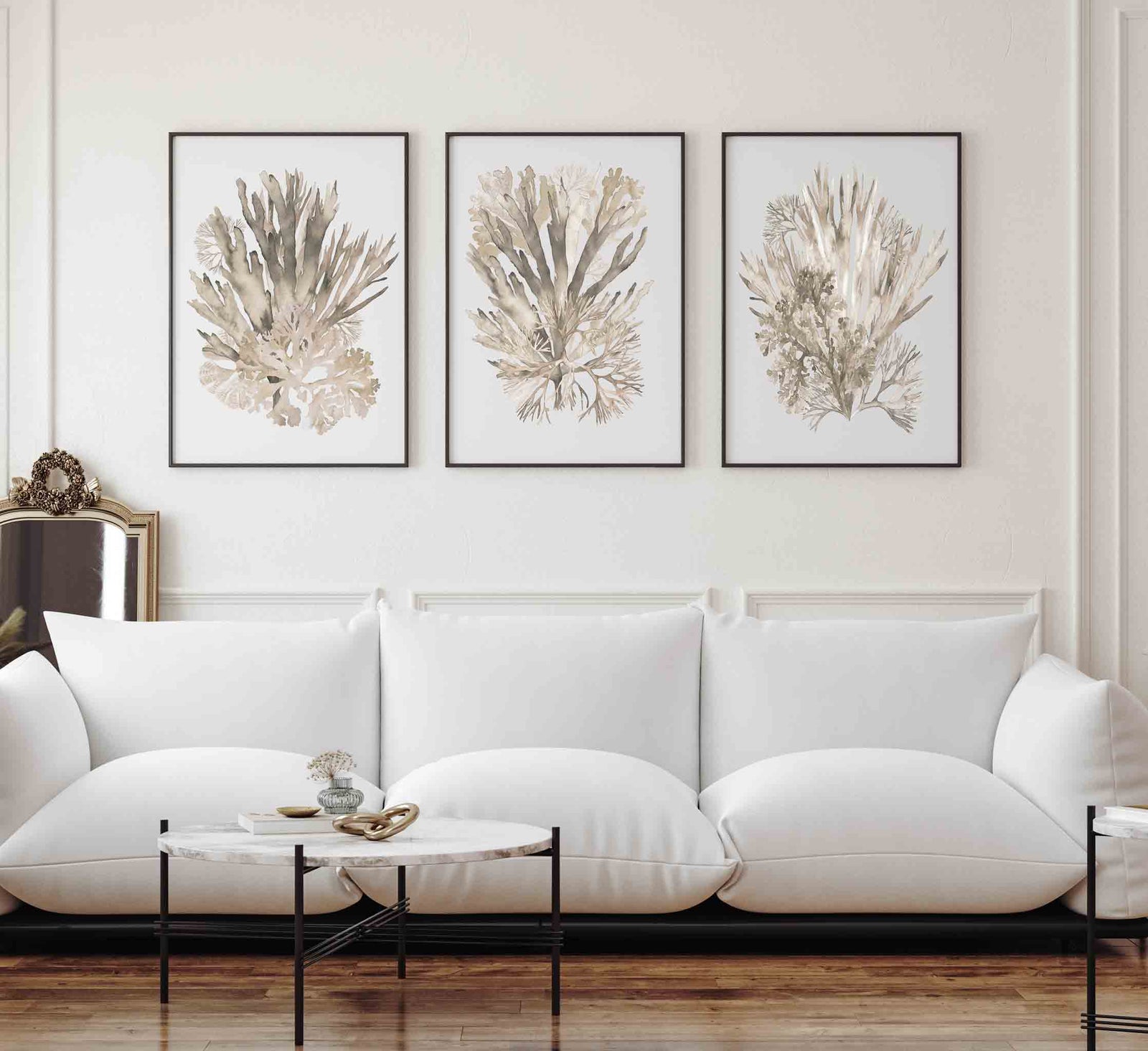 Set of 3 Wall Art Prints - Set of 3 Taupe Coral Prints by Kerri Shipp Driftwood Interiors