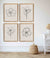 Set of 4 Wall Art Prints - 4 Piece Set of Line Art Prints on linen background - Driftwood Interiors