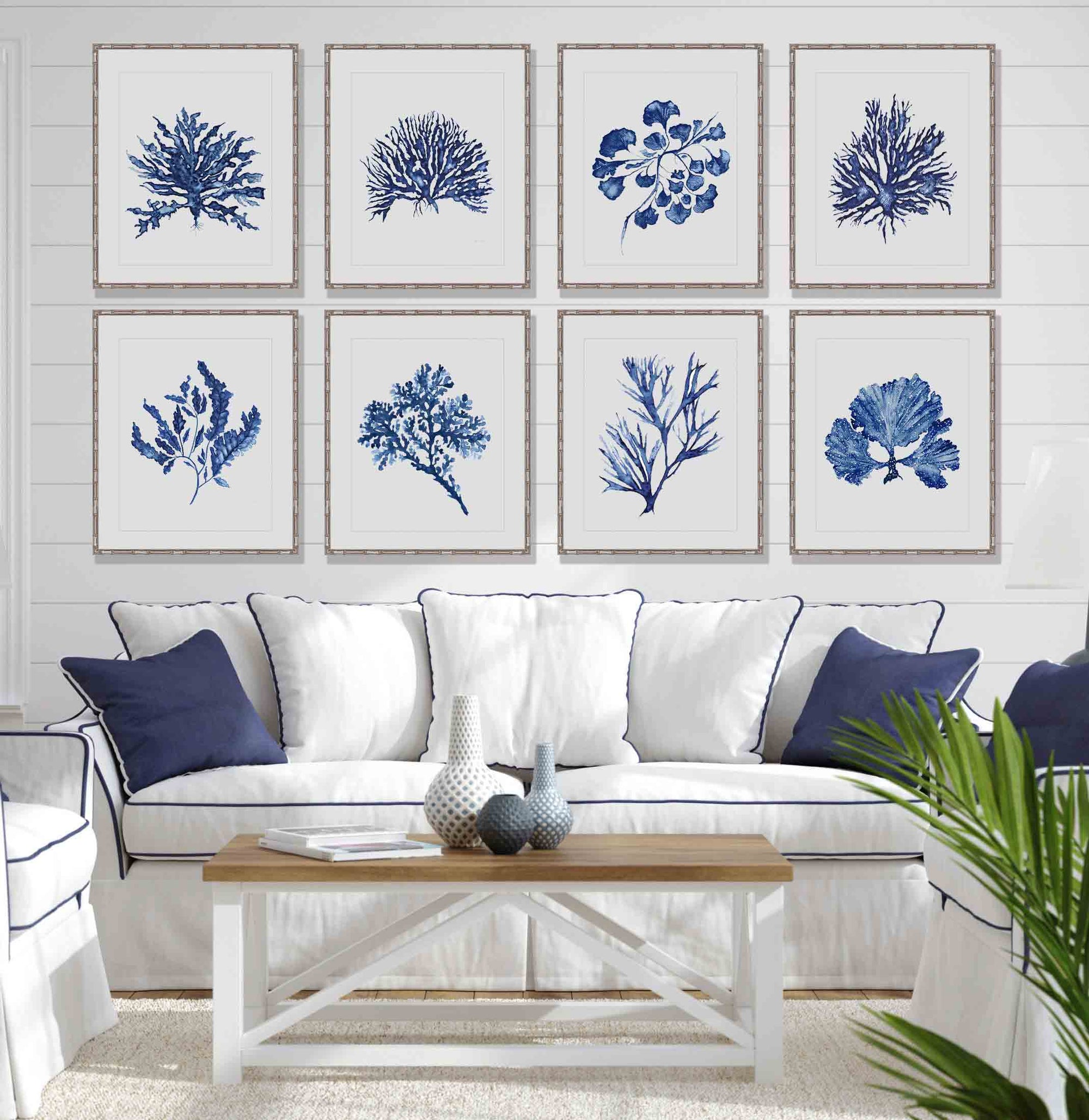 Set of 8 Wall Art Prints - Hampton Style Blue Coral Print Set of 8 - Driftwood Interiors