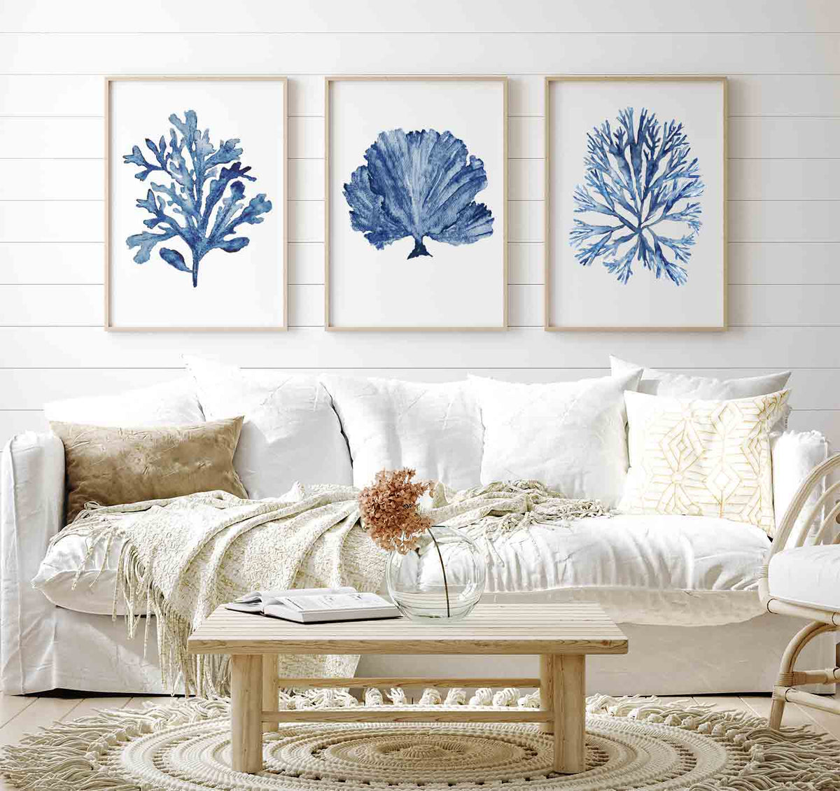 Set of 3 Wall Art Prints - Blue Coral Wall Art Set on wall above sofa - Driftwood Interiors 