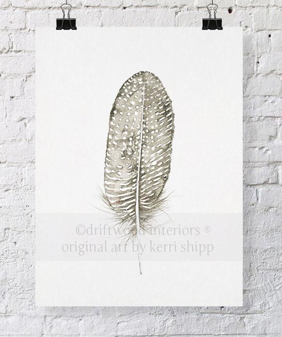 Spotted Dove Feather - Driftwood Interiors