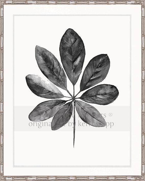 Tropical Leaf in Charcoal - Driftwood Interiors