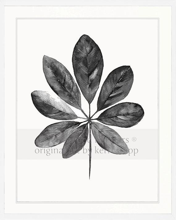 Tropical Leaf in Charcoal - Driftwood Interiors
