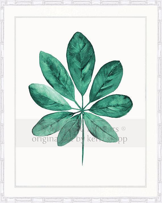 Tropical Art  - Tropical Leaf Print in Emerald Green in white bamboo frame - Driftwood Interiors