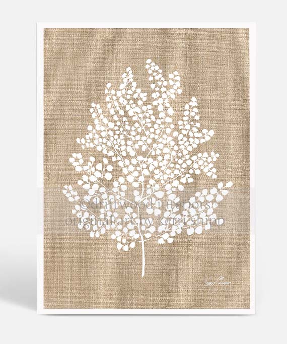 White Fern Wall Art Print on Dark Linen Background - White Fern II - Kerri Shipp Driftwood Interiors