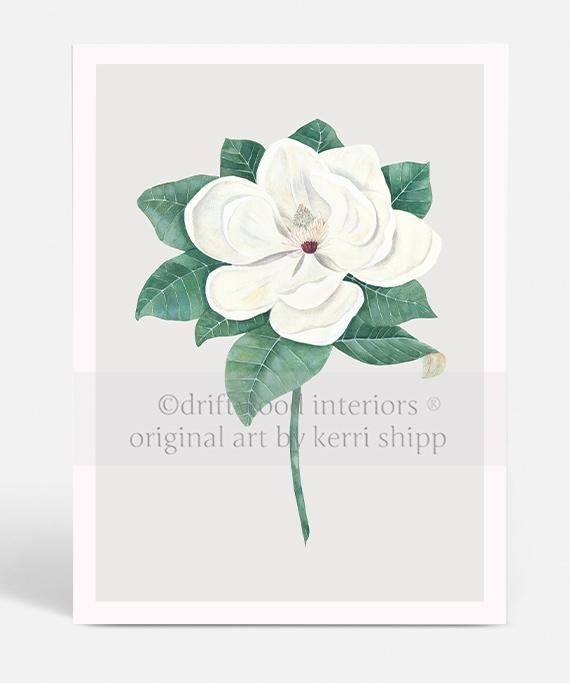 Magnolia Flower Print unframed - Driftwood Interiors
