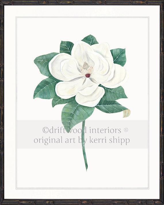 Magnolia Flower Print in black bamboo frame - Driftwood Interiors