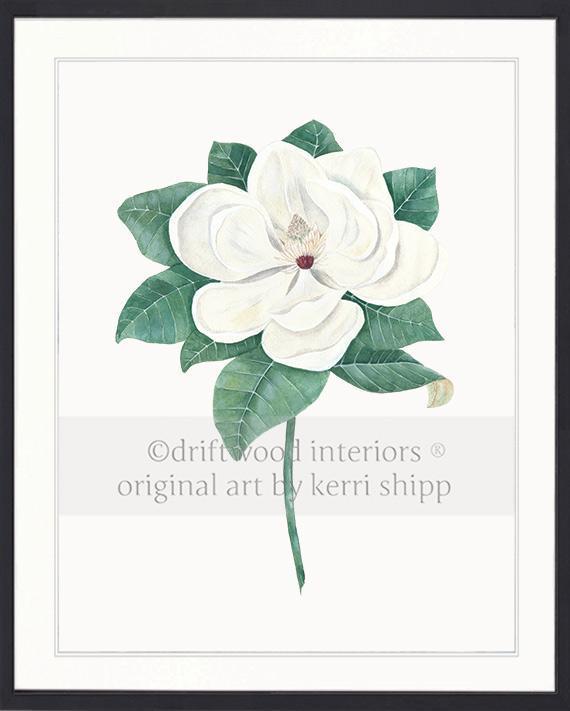 Magnolia Flower Print - Driftwood Interiors