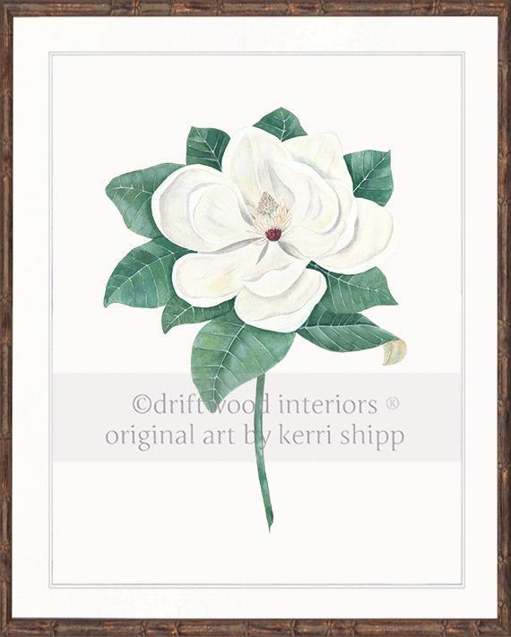 Magnolia Flower Print in brown bamboo frame- Driftwood Interiors