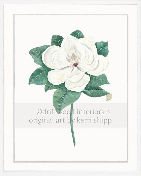 Magnolia Flower Print - Driftwood Interiors