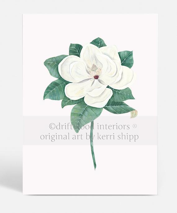 Magnolia Flower Print unframed on white background - Driftwood Interiors
