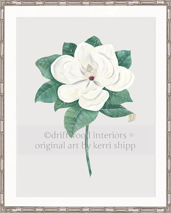 Magnolia Flower Print in silver bamboo frame - Driftwood Interiors